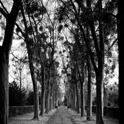 nordfriedhof nordfriedhof