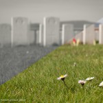 flandersfields-forphotoblog