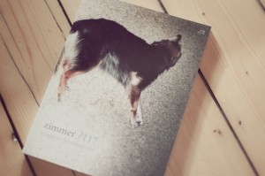 zimmer117 Magazin 2