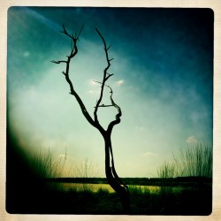 Hogekempen_by-Marc von Martial-forphotoblog
