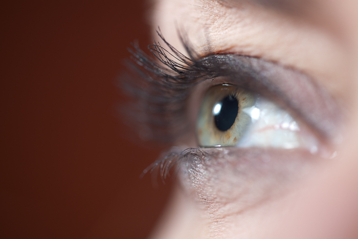 der blick - ausgangsbild