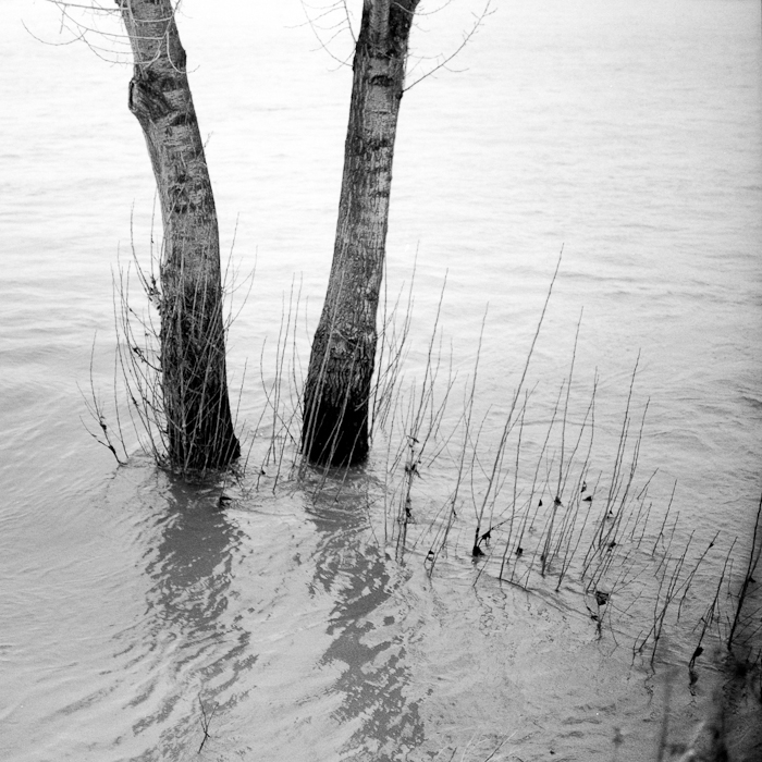 hochwasser