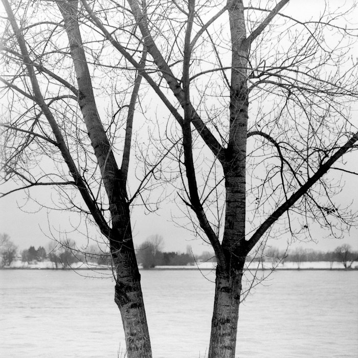 hochwasser