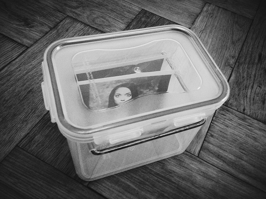 DIY Packfilm Trocken Box